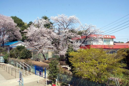 ひかわ幼稚園の画像1