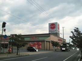 マルヨシセンター 西条店の画像