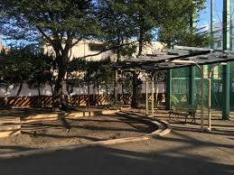 杉並区立天沼西公園の画像1