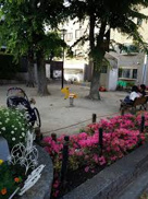 公園 おしかわ公園