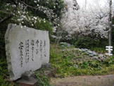 京都市立 安朱小学校