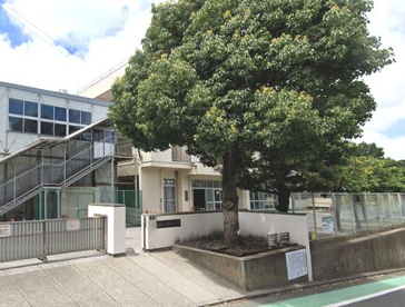 横浜市立上矢部小学校の画像1