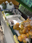 野菜直売所