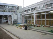 保育園 高円寺北保育園