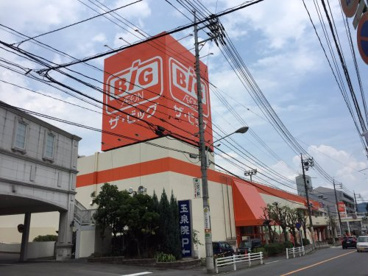 ザ・ビッグ安古市店の画像1