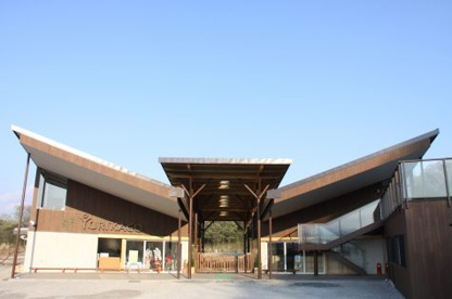 東京ゆりかご幼稚園の画像1