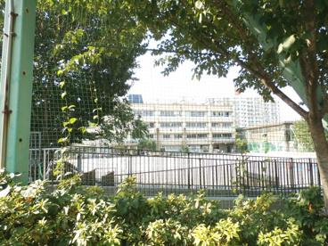 中根小学校の画像1