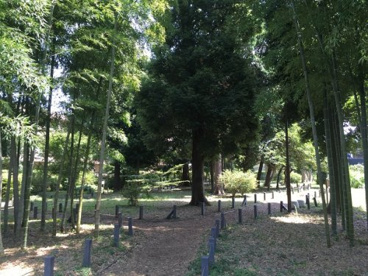 関町北四丁目緑地の画像1