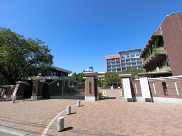 日本大学生産工学部の画像1