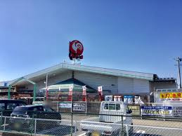 コメリ ハード&グリーン川島店の画像1