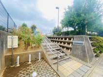 久保新田こぶし公園