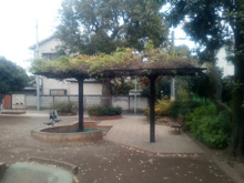 公園 清水一丁目公園