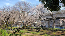 玉川上水第二公園