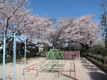 杉並区立玉川上水第三公園の画像1