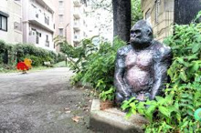 杉並区立山中公園