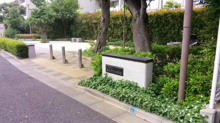 高井戸丸太緑地