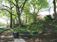 公園 三泉淵公園