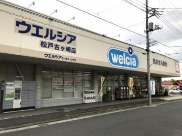 ウエルシア松戸古ケ崎店の画像1
