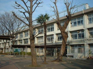 練馬区立練馬中学校の画像1