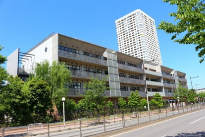 港区立港南小学校の画像1