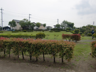 三ツ寺公園の画像1