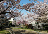 東石切公園