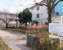 浜田山さくら緑地