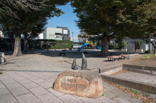 杉並区立わかたけ公園