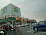 フレッセイ大利根店