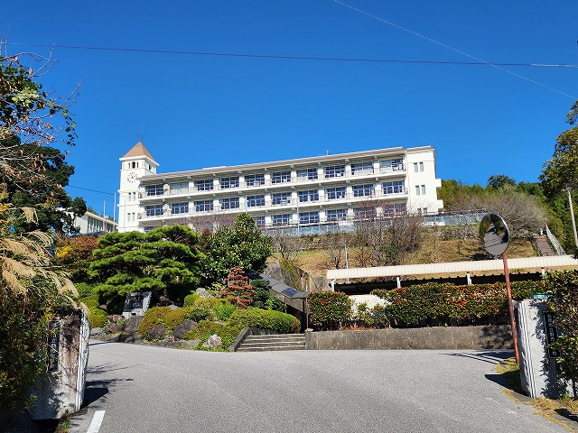 の画像
