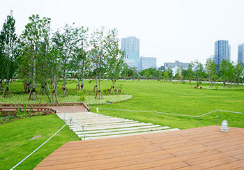 芝浦中央公園の画像1