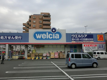 ウエルシア座間ひばりが丘店の画像1