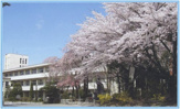 御代田町立御代田南小学校