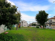 やぶね地域公園