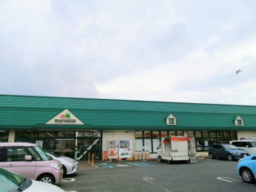 マルエツ綾瀬店の画像1