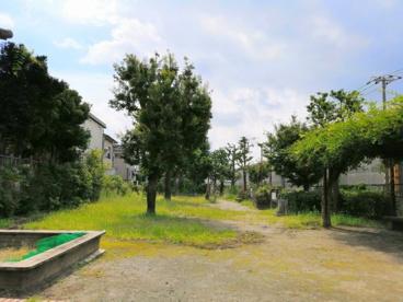 天台公園の画像1