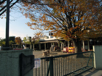 おひさま倉賀野保育園