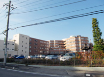 サンピエール病院