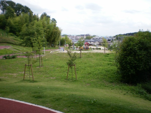 の画像
