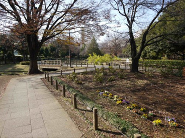 秋の陽公園の画像1
