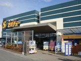 セキチュー矢中店