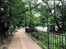 新宿区立西戸山公園