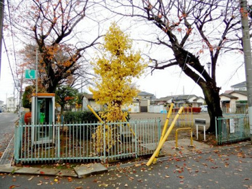 熊野町公園の画像1