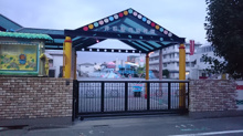 幼稚園 井荻聖母幼稚園