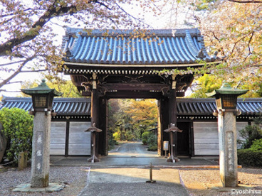 眞盛寺の画像1