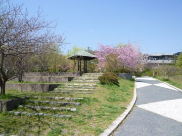峰ヶ堂第一公園の画像1