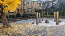 公園 久我山中央緑地