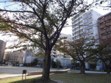 東領公園