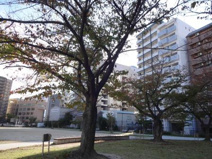 東領公園