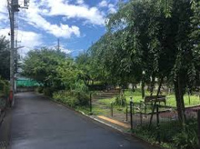 杉並区立まつぼっくり緑地
